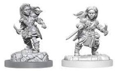 Halfling Rogue Female (W20)